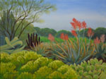 Aloes, Ruth Bancroft Garden, Walnut Creek